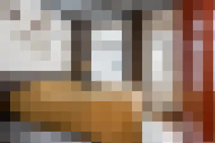 Korte Strikstraat 4 Zaltbommel thumbnail 21