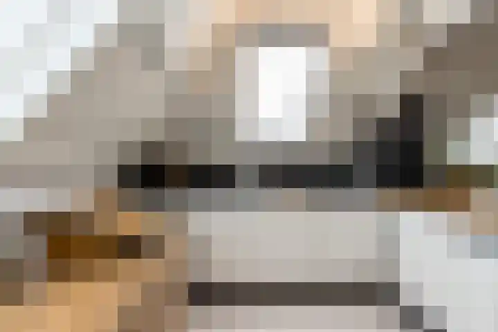 Korte Strikstraat 4 Zaltbommel thumbnail 31