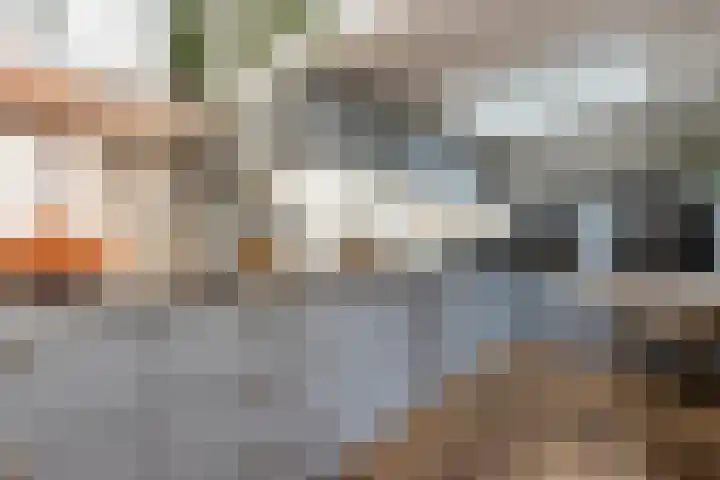 Korte Strikstraat 4 Zaltbommel thumbnail 7