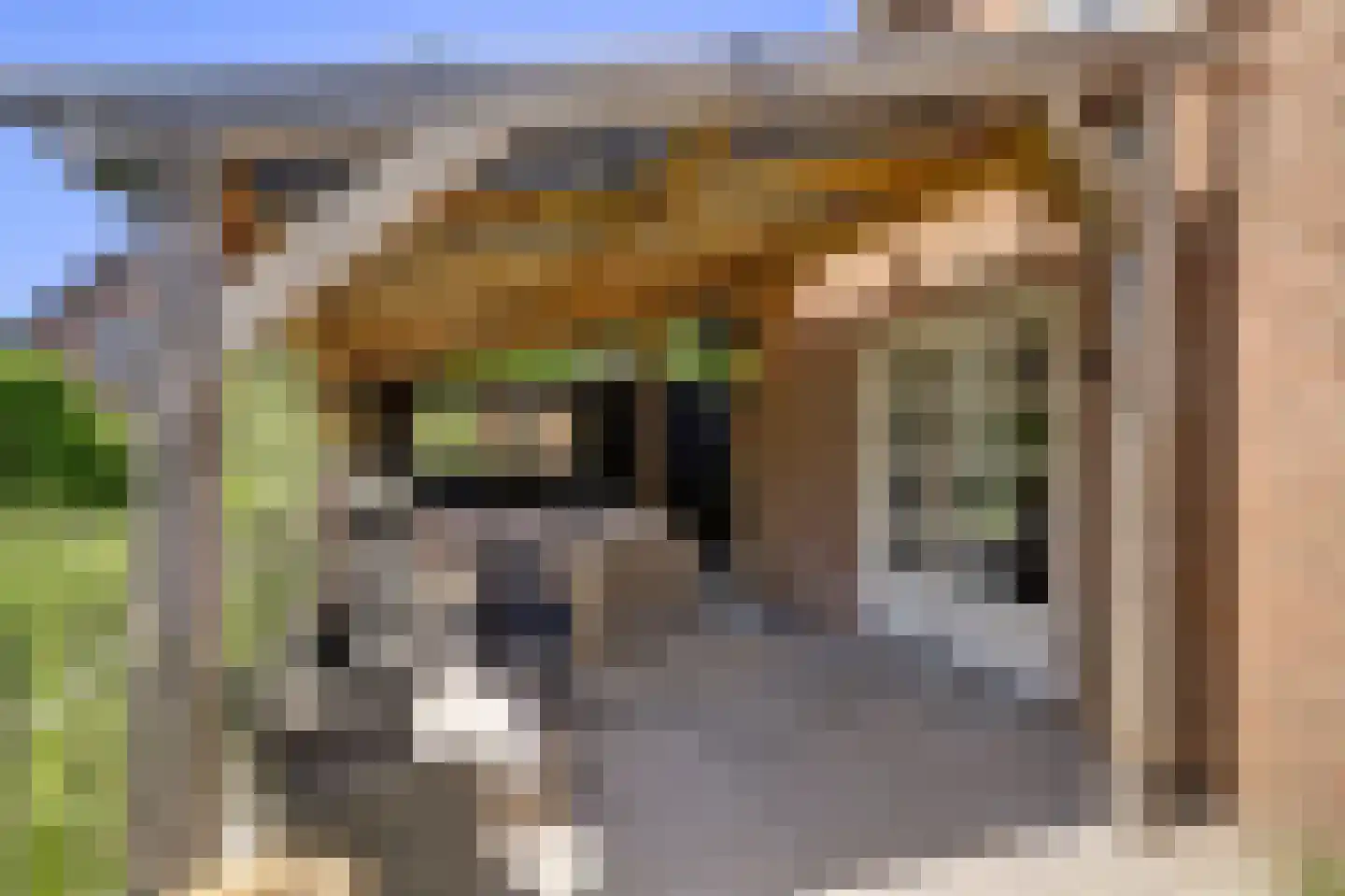 Korte Stukken 4 Varik thumbnail 16