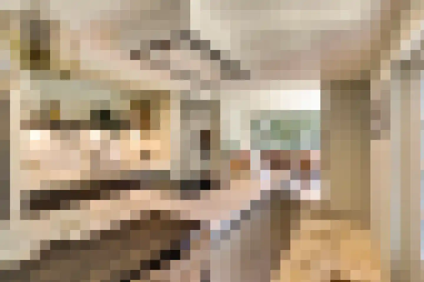 Korte Stukken 4 Varik thumbnail 22