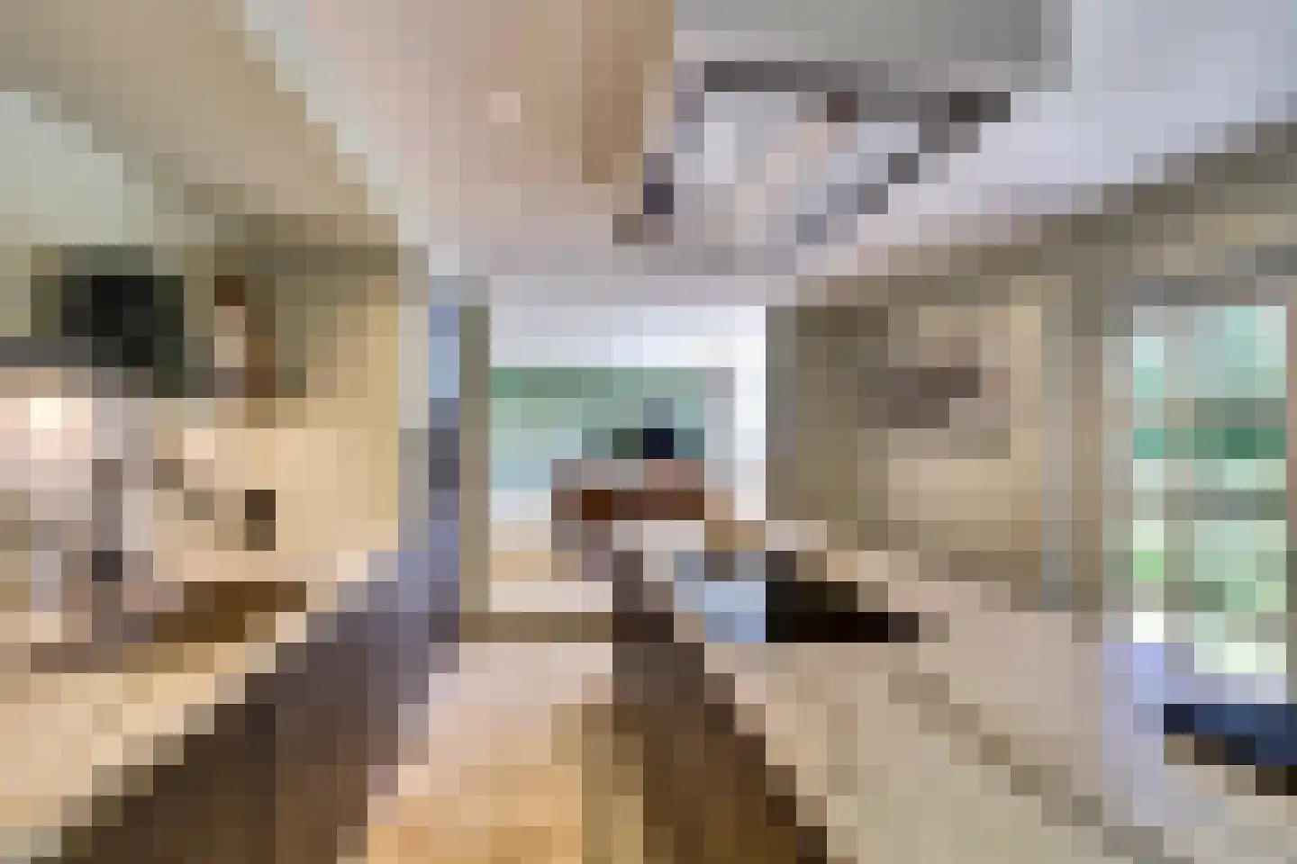Korte Stukken 4 Varik foto 3