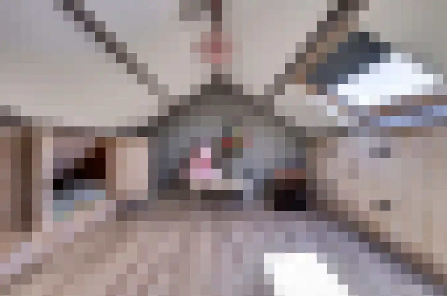 Korte Stukken 4 Varik thumbnail 30
