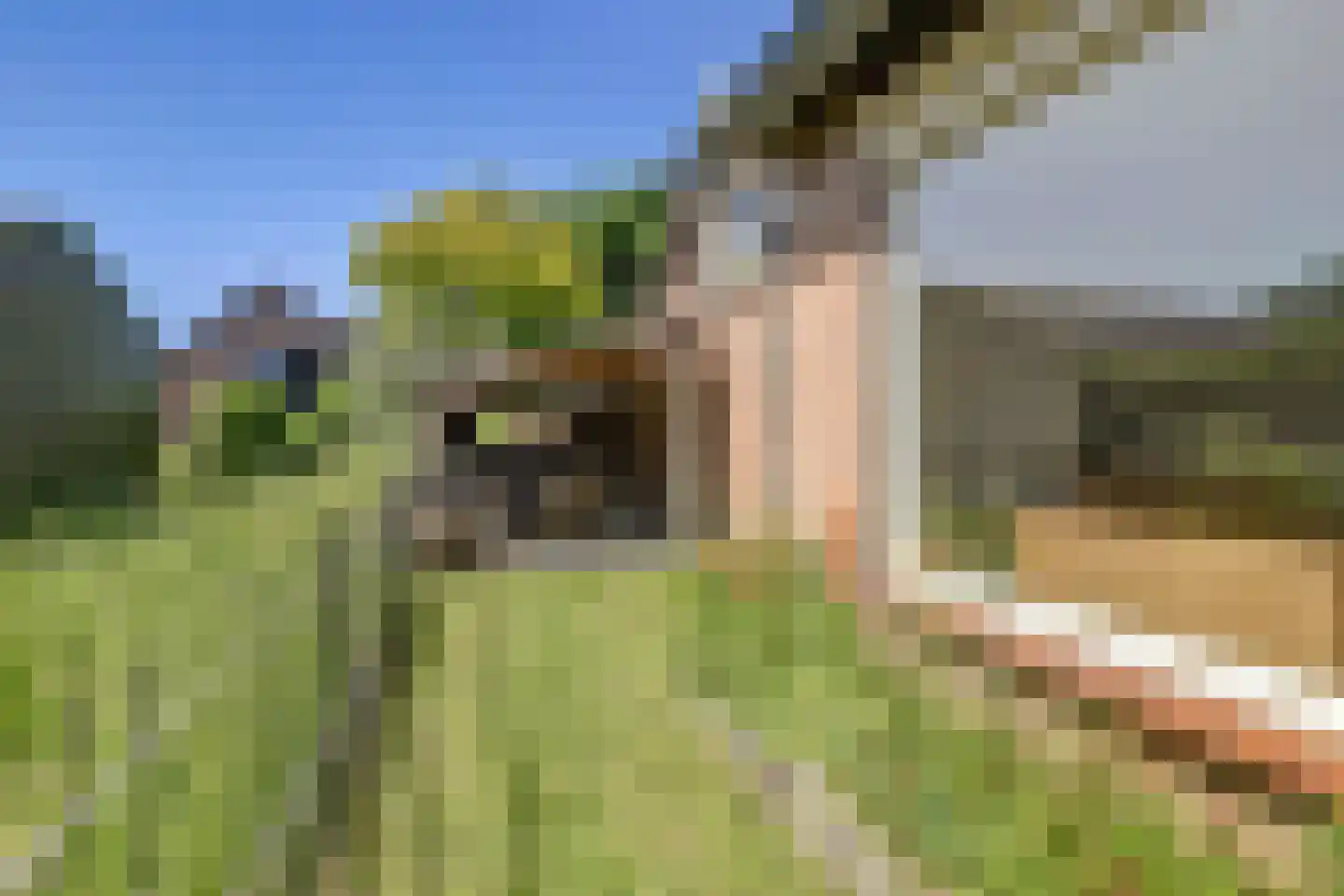 Korte Stukken 4 Varik thumbnail 56