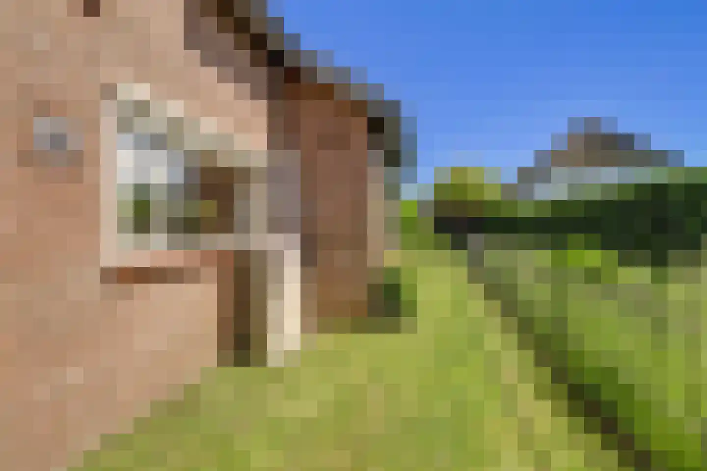Korte Stukken 4 Varik thumbnail 57