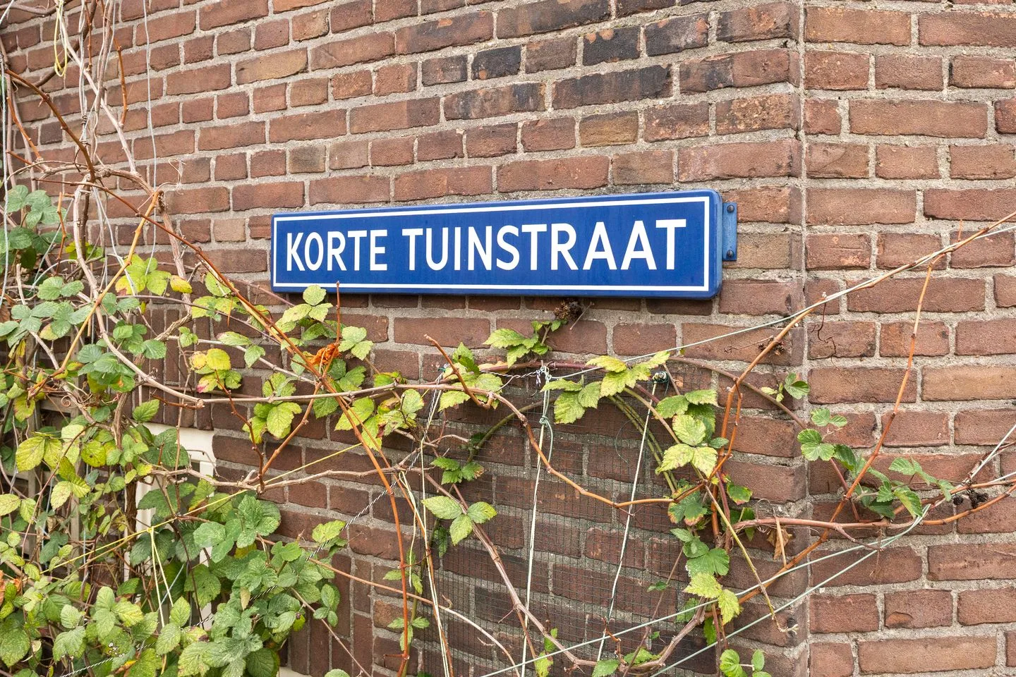 Korte Tuinstraat 16 's-Hertogenbosch thumbnail 27