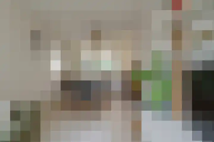 Korte Tuinstraat 2 's-Hertogenbosch thumbnail 12