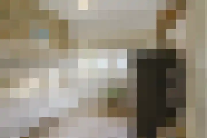 Korte Tuinstraat 2 's-Hertogenbosch thumbnail 29