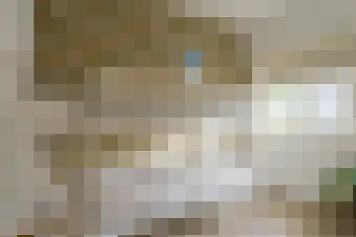 Korte Tuinstraat 2 's-Hertogenbosch thumbnail 30