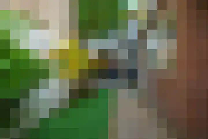 Korte Tuinstraat 2 's-Hertogenbosch thumbnail 32