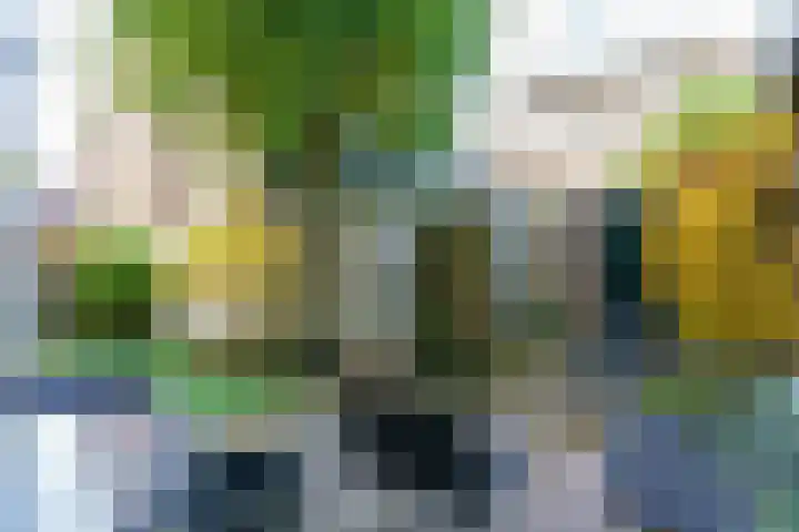 Korte Tuinstraat 2 's-Hertogenbosch thumbnail 4