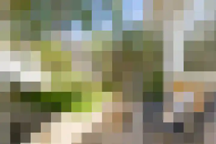 Korte Tuinstraat 24 's-Hertogenbosch thumbnail 11
