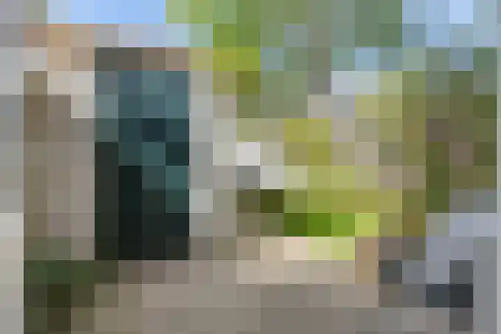 Korte Tuinstraat 24 's-Hertogenbosch thumbnail 12
