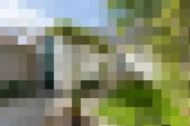 Korte Tuinstraat 24 's-Hertogenbosch thumbnail 13