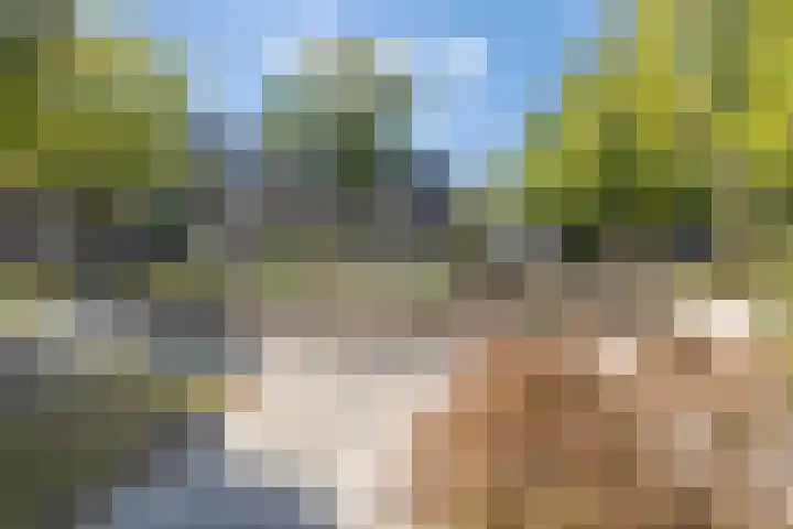 Korte Tuinstraat 24 's-Hertogenbosch thumbnail 27