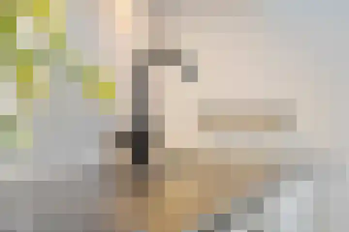 Korte Tuinstraat 24 's-Hertogenbosch thumbnail 9