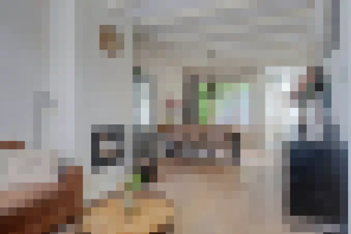 Korte Tuinstraat 9 Enkhuizen thumbnail 10