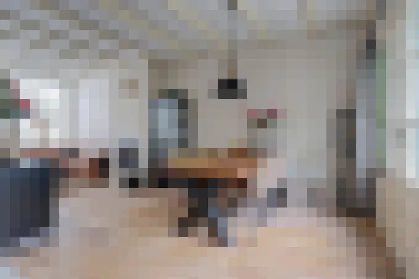 Korte Tuinstraat 9 Enkhuizen thumbnail 12