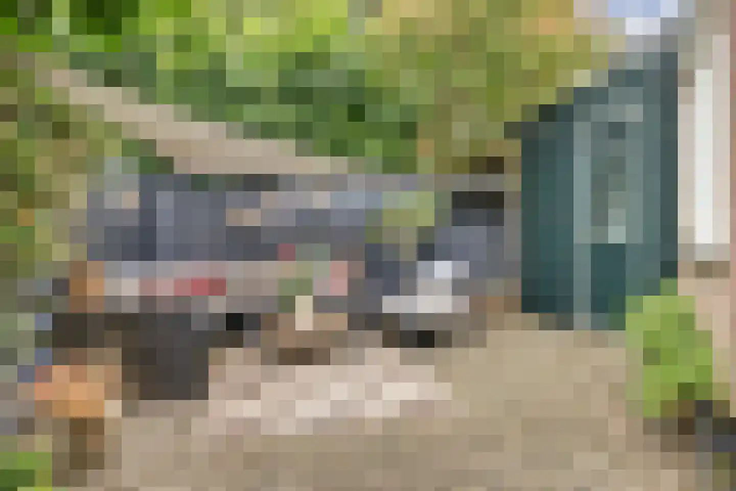 Korte Tuinstraat 9 Enkhuizen thumbnail 15