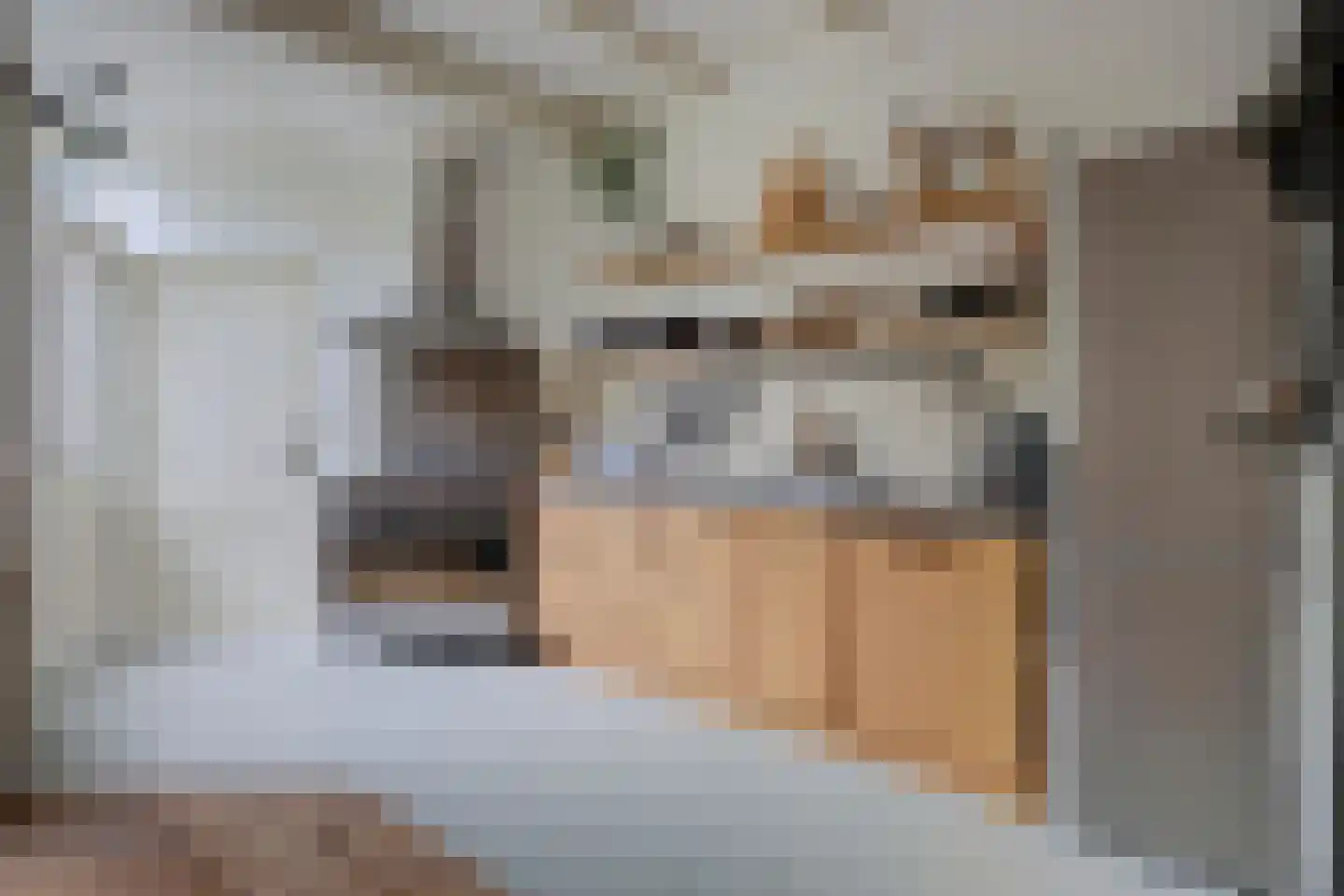 Korte Tuinstraat 9 Enkhuizen thumbnail 19