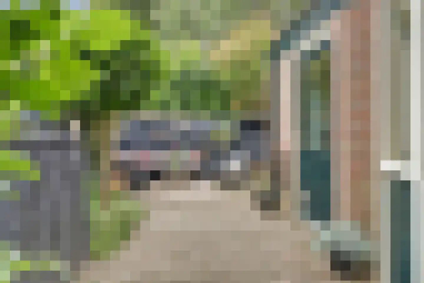 Korte Tuinstraat 9 Enkhuizen thumbnail 24