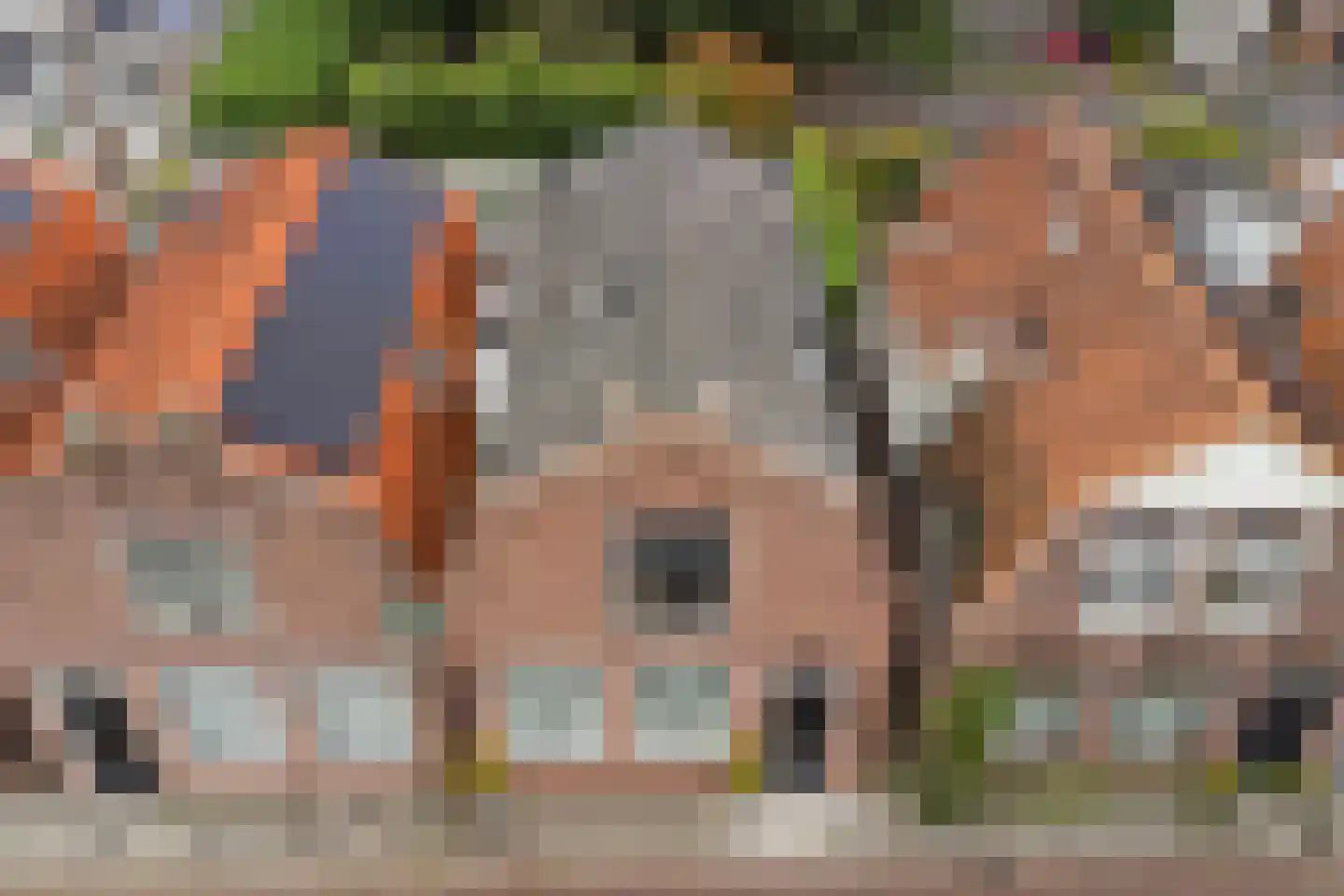 Korte Tuinstraat 9 Enkhuizen thumbnail 40
