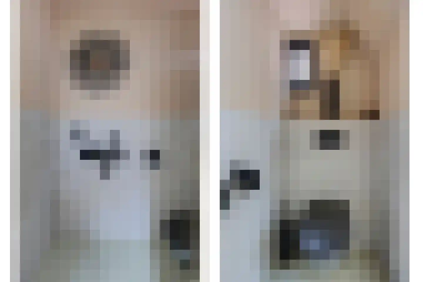 Korte Tuinstraat 9 Enkhuizen thumbnail 8