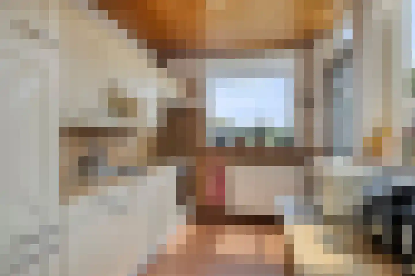 Korte Uitweg 52 Schalkwijk thumbnail 10
