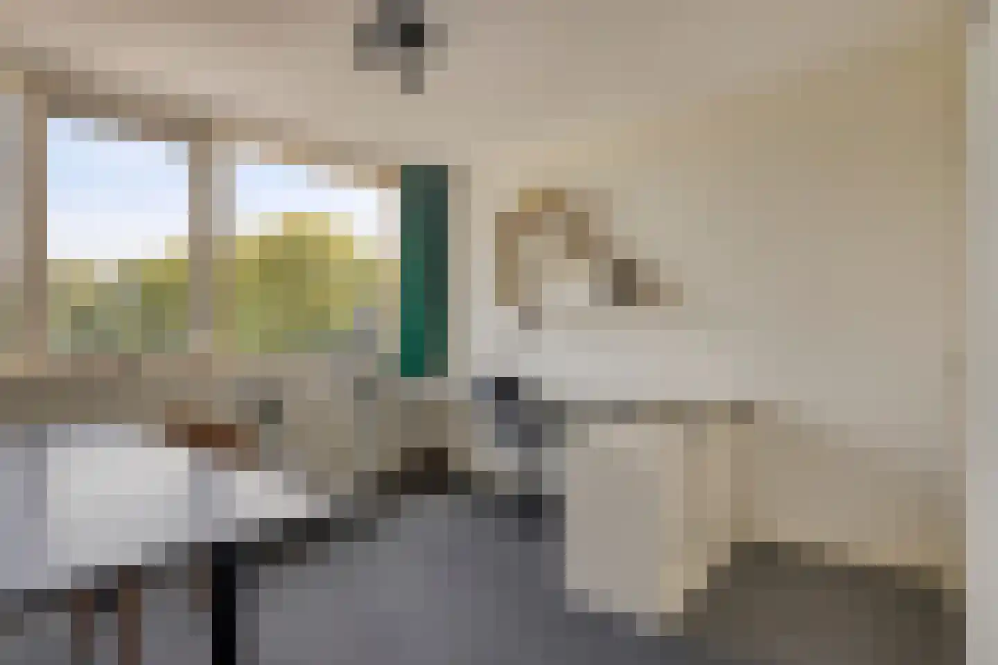 Korte Uitweg 52 Schalkwijk thumbnail 19