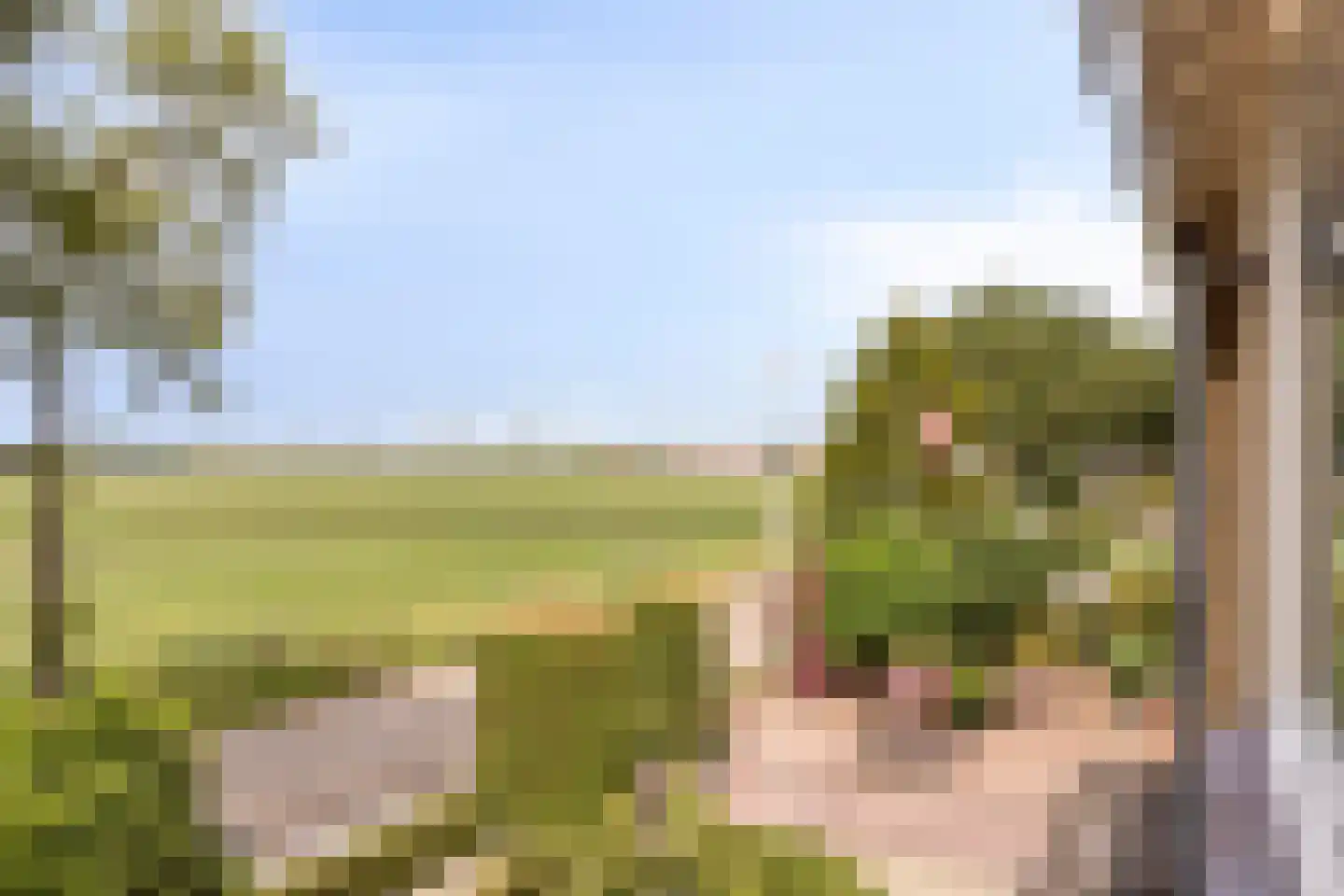 Korte Uitweg 52 Schalkwijk thumbnail 31