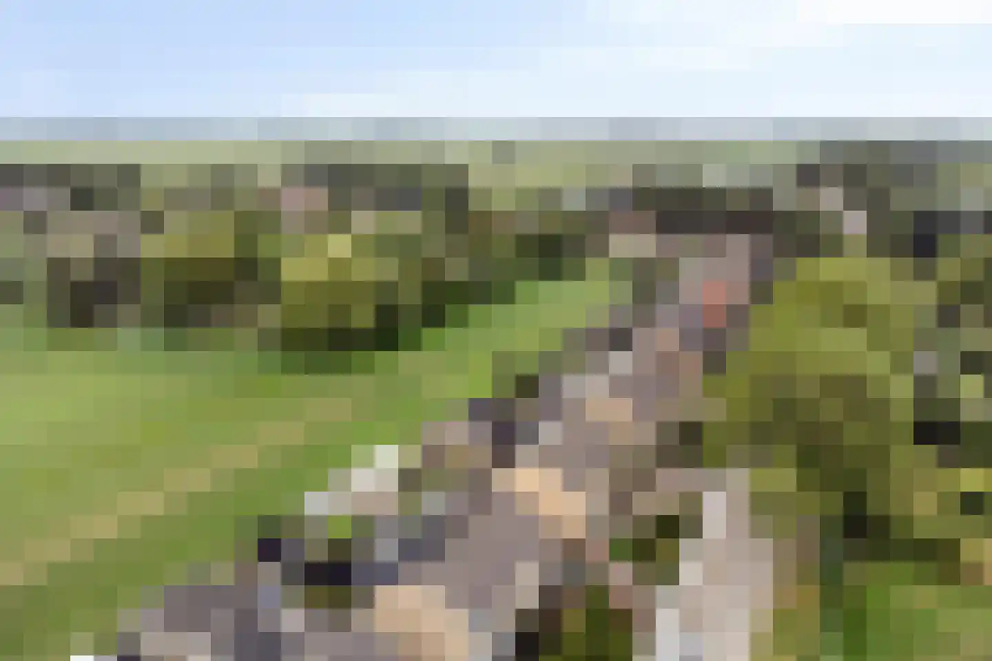 Korte Uitweg 52 Schalkwijk thumbnail 33