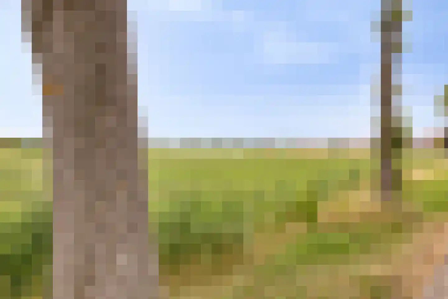 Korte Uitweg 52 Schalkwijk thumbnail 35