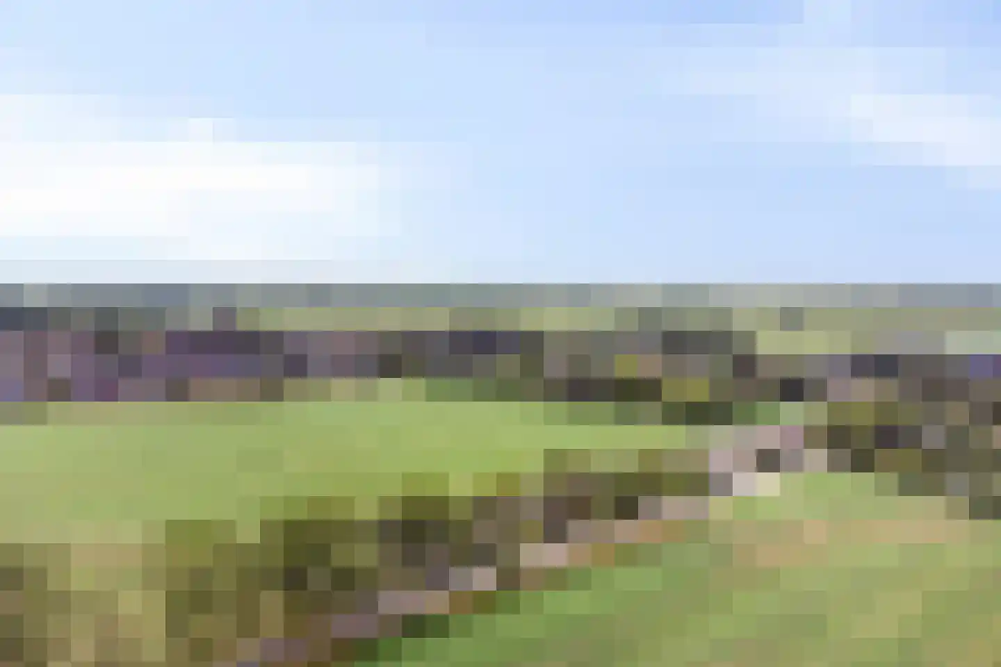 Korte Uitweg 52 Schalkwijk thumbnail 37