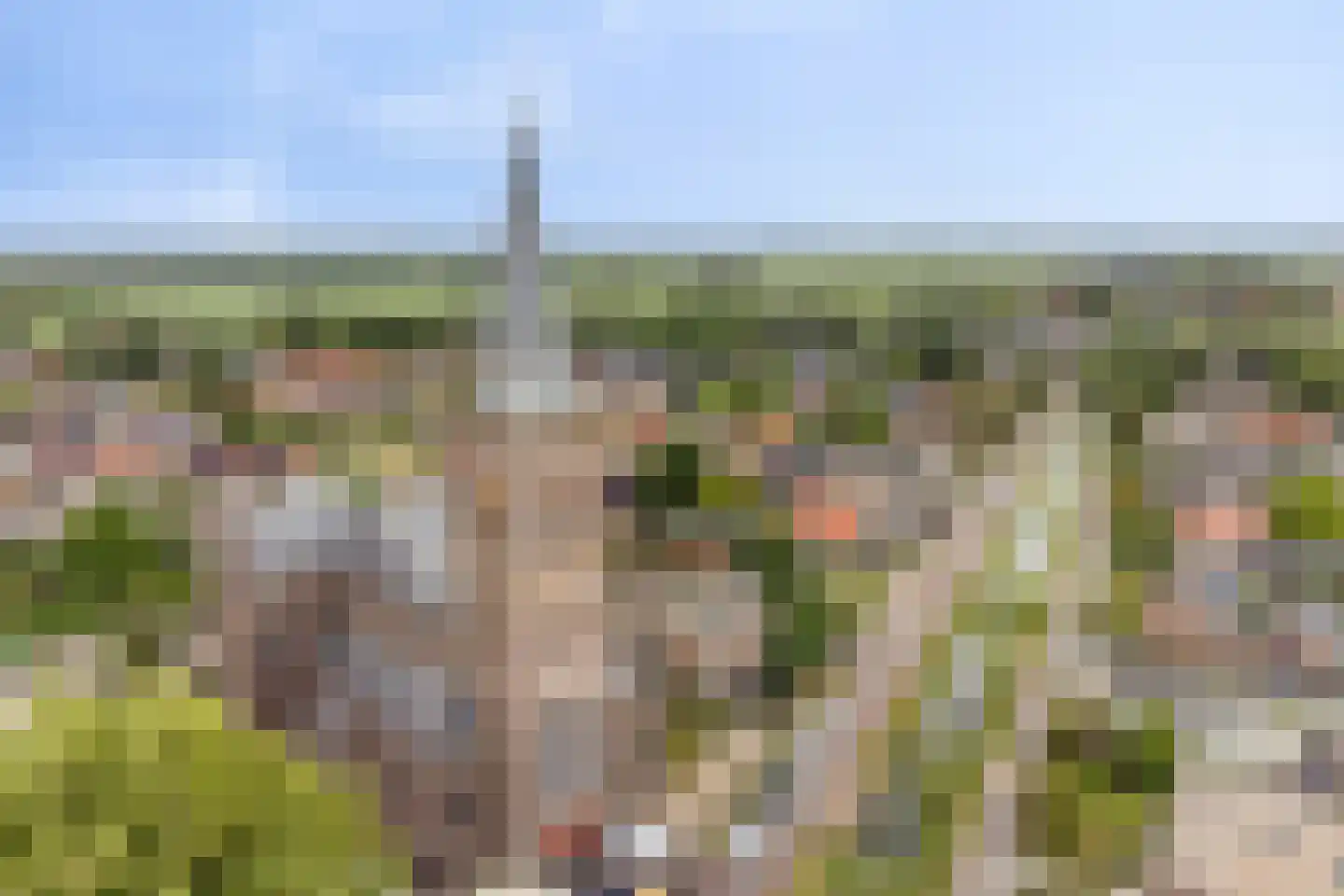 Korte Uitweg 52 Schalkwijk thumbnail 39