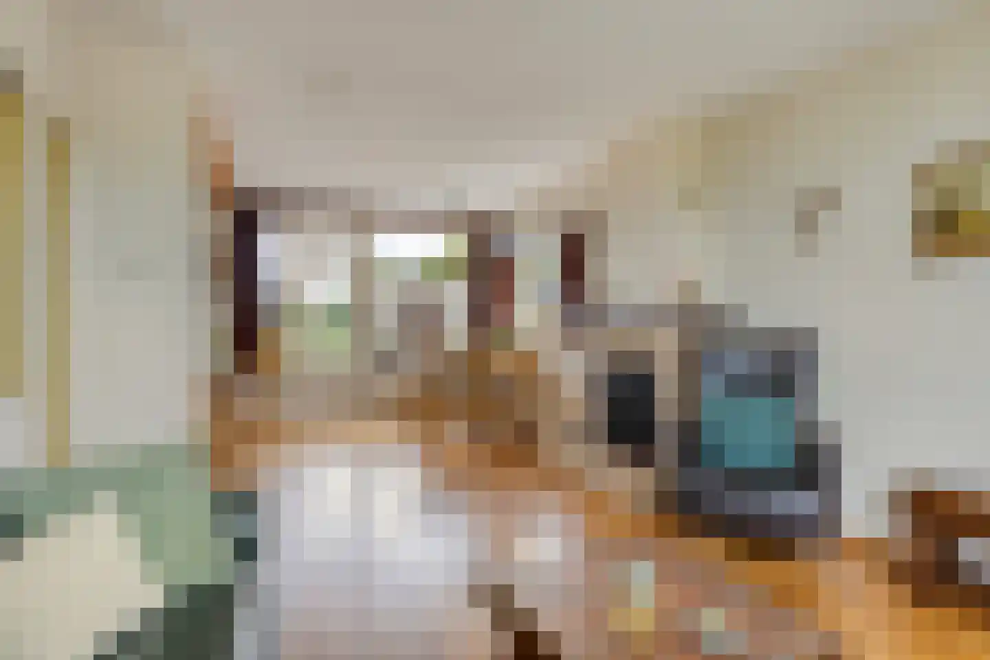 Korte Uitweg 52 Schalkwijk thumbnail 4