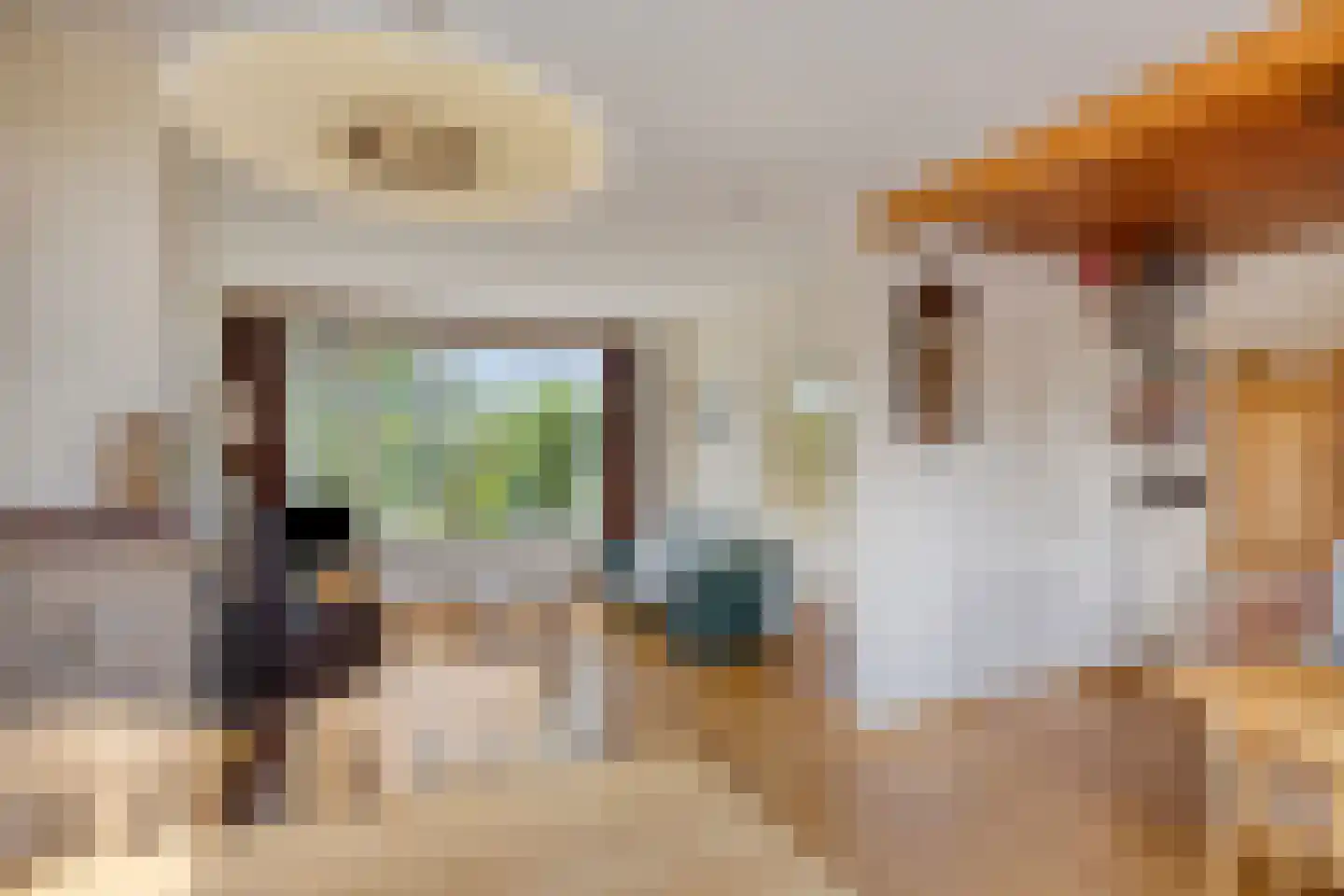 Korte Uitweg 52 Schalkwijk thumbnail 7