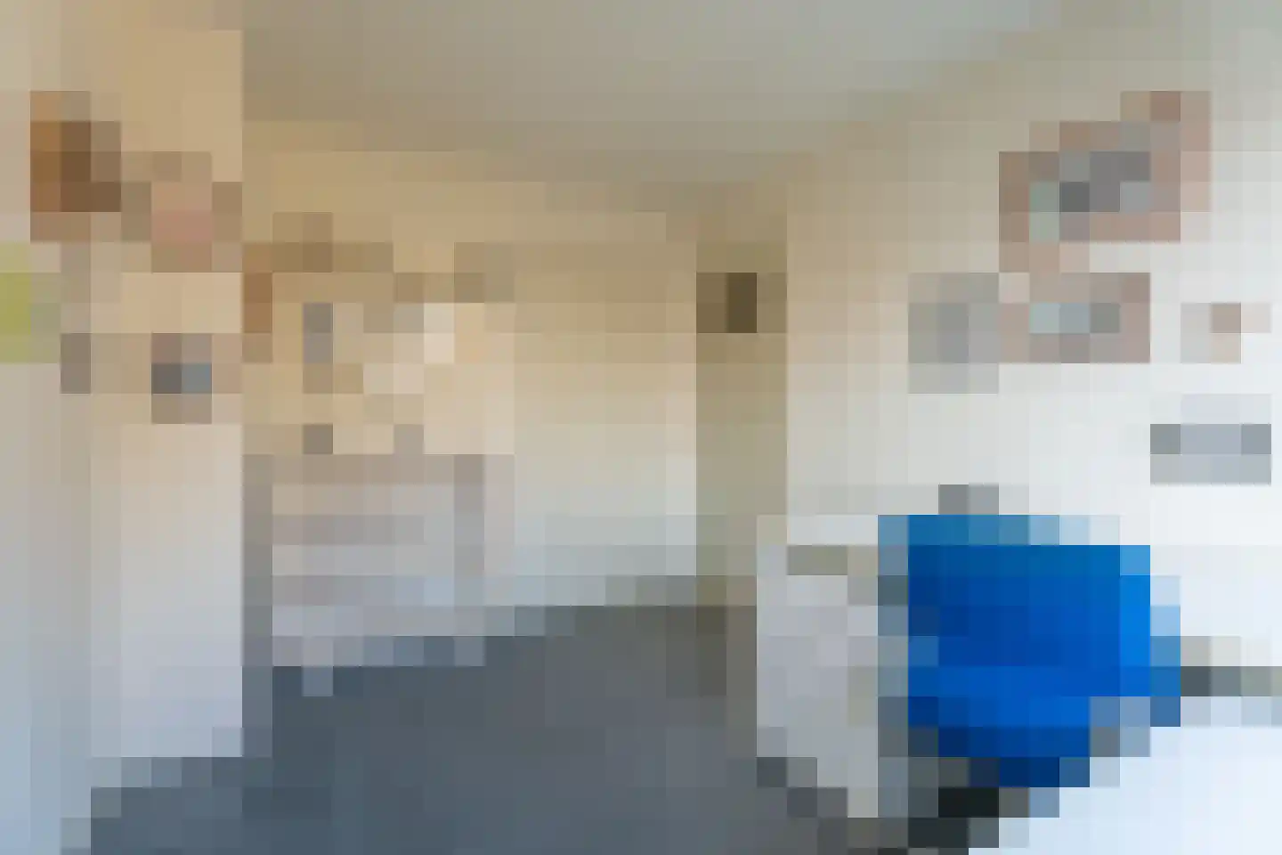 Korte Vaart 3 Rijnsburg thumbnail 14