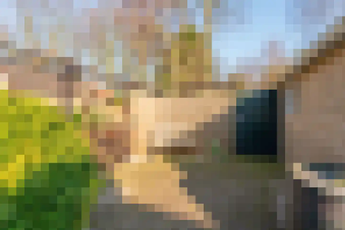 Korte Vaart 3 Rijnsburg thumbnail 25