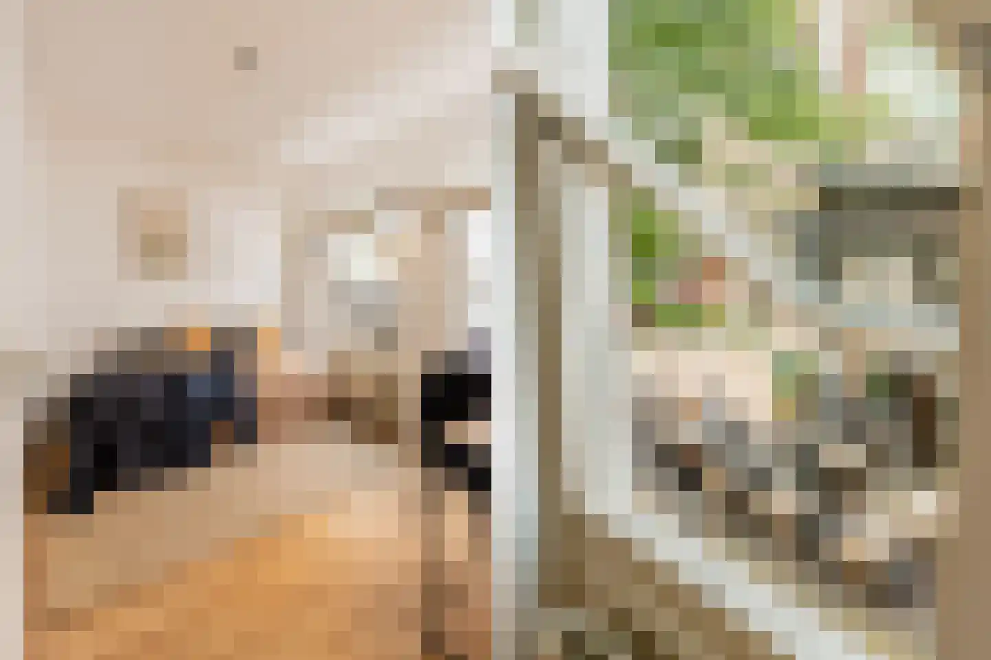Korte Veerstraat 24 Haarlem thumbnail 23