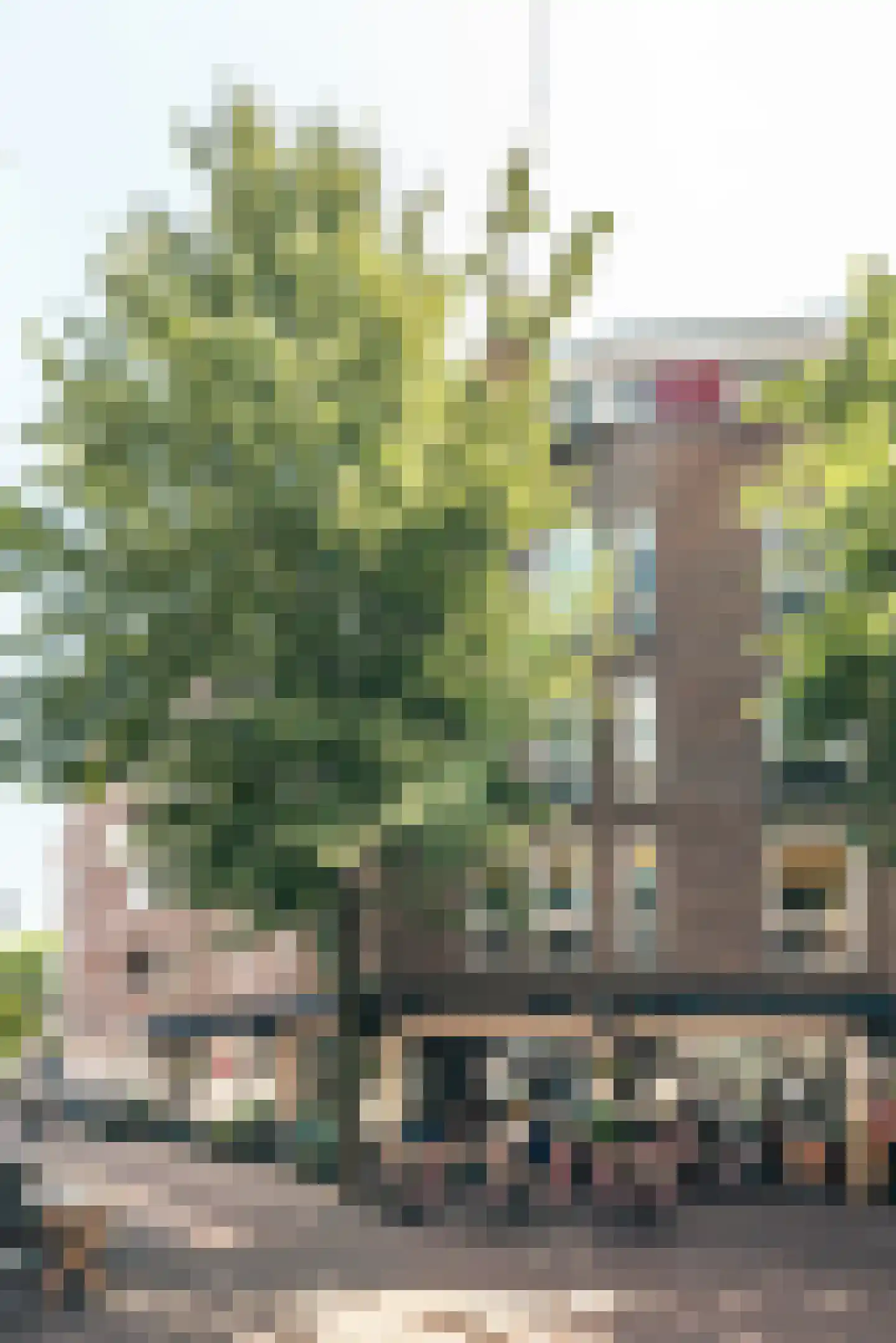 Korte Veerstraat 24 Haarlem thumbnail 24