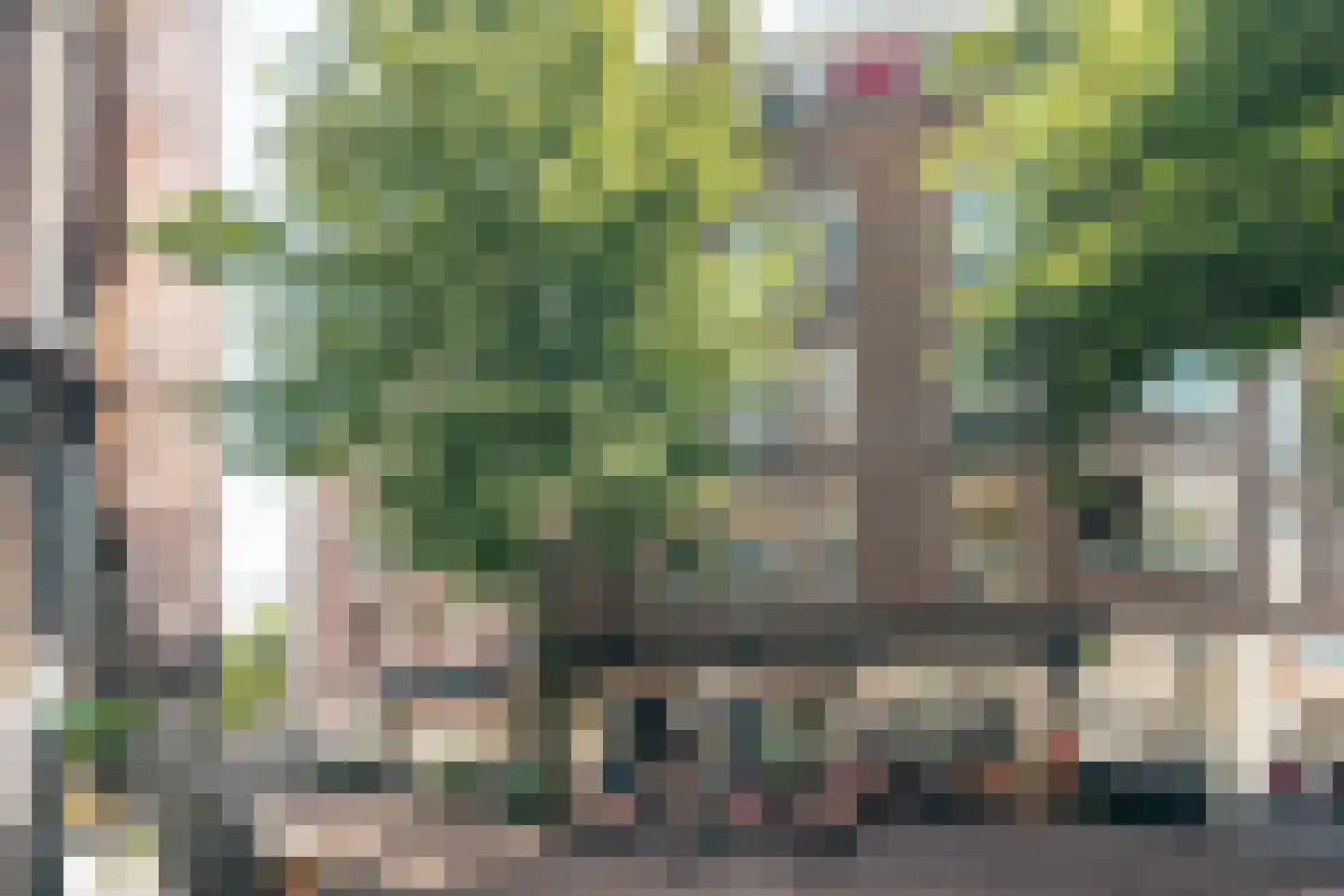 Korte Veerstraat 24 Haarlem thumbnail 6