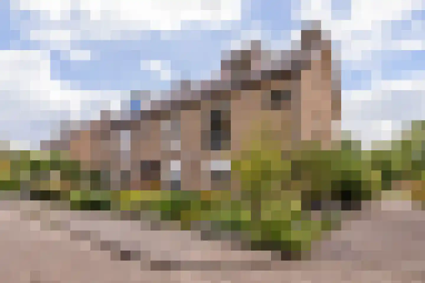 Korte Velterslaan 5 Nigtevecht