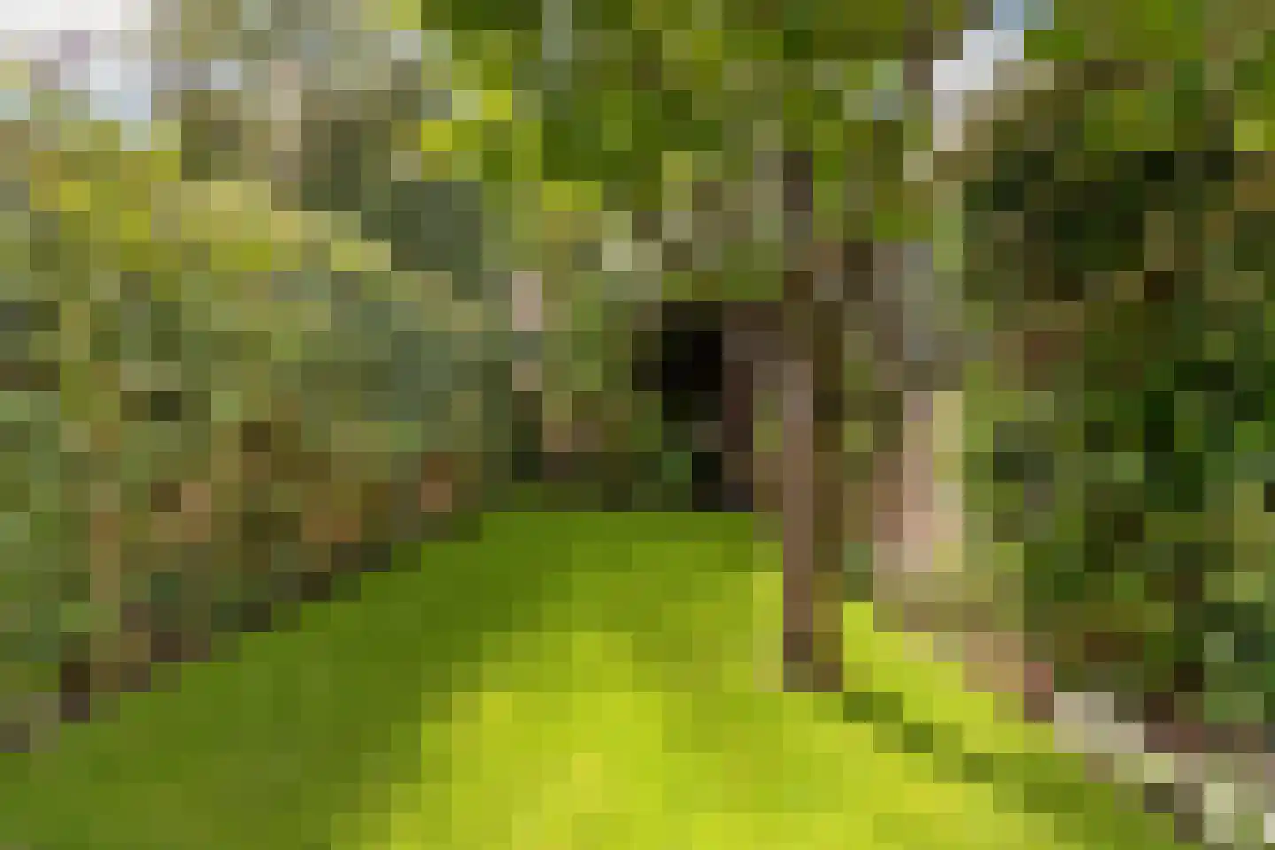 Korte Velterslaan 5 Nigtevecht thumbnail 16