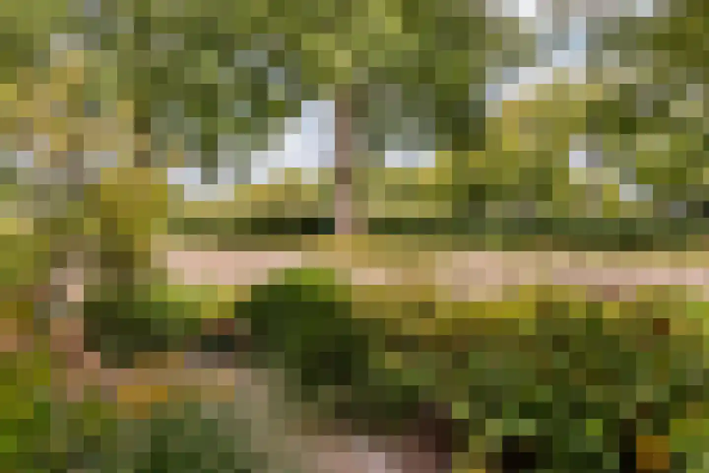 Korte Velterslaan 5 Nigtevecht thumbnail 7