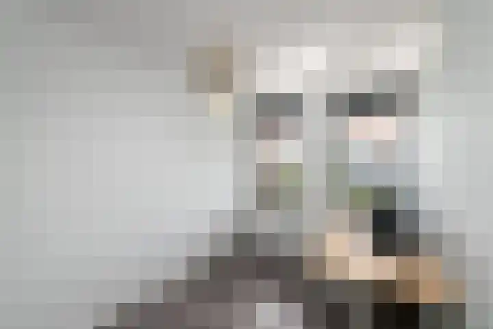 Korte Venen 13 Heerenveen thumbnail 16