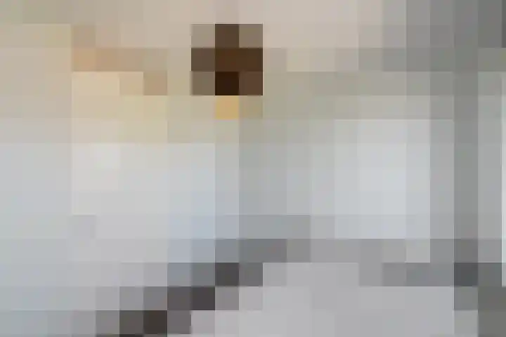 Korte Venen 13 Heerenveen thumbnail 18