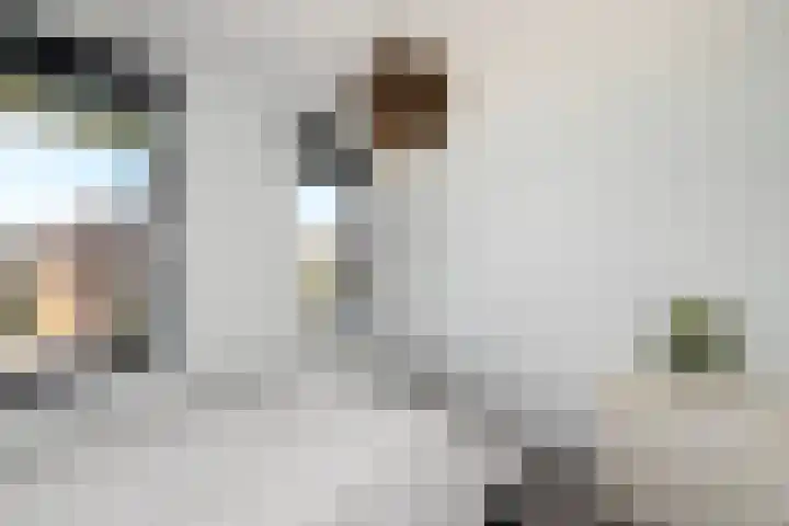 Korte Venen 13 Heerenveen thumbnail 19