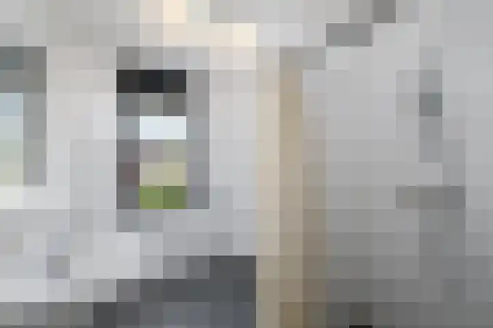 Korte Venen 13 Heerenveen thumbnail 20