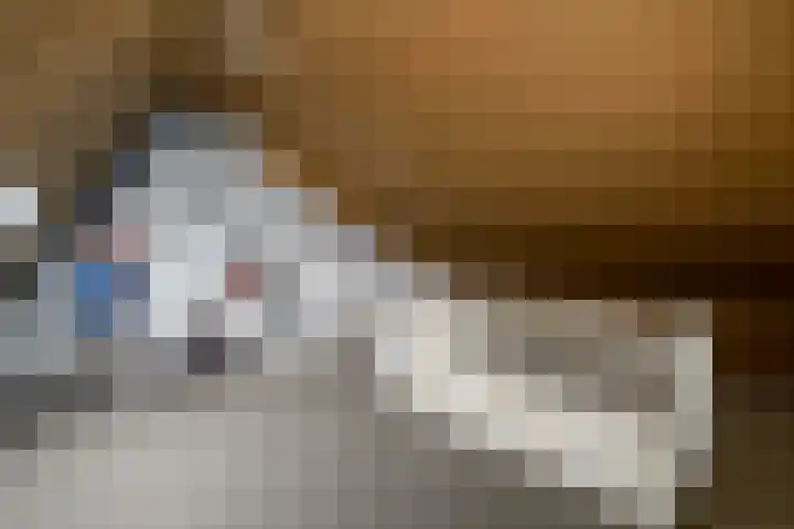 Korte Venen 13 Heerenveen thumbnail 24