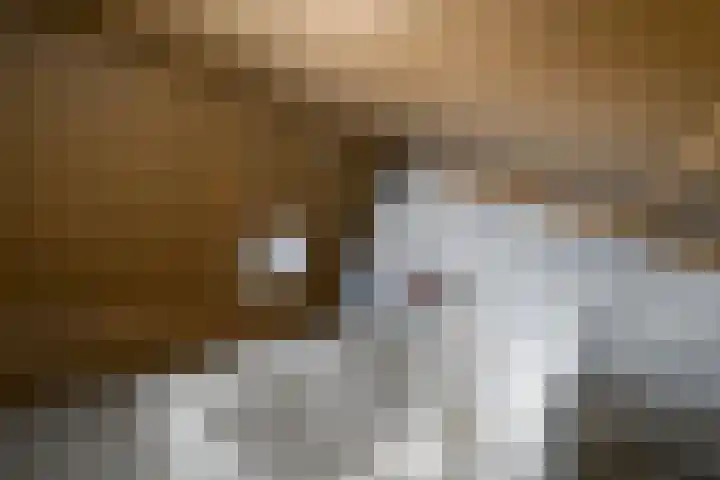Korte Venen 13 Heerenveen thumbnail 26